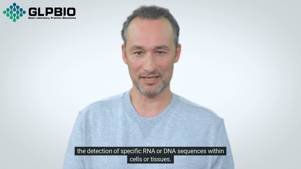 Biotin-Tyramide: Precision Amplification in Molecular Visualization | GlpBio