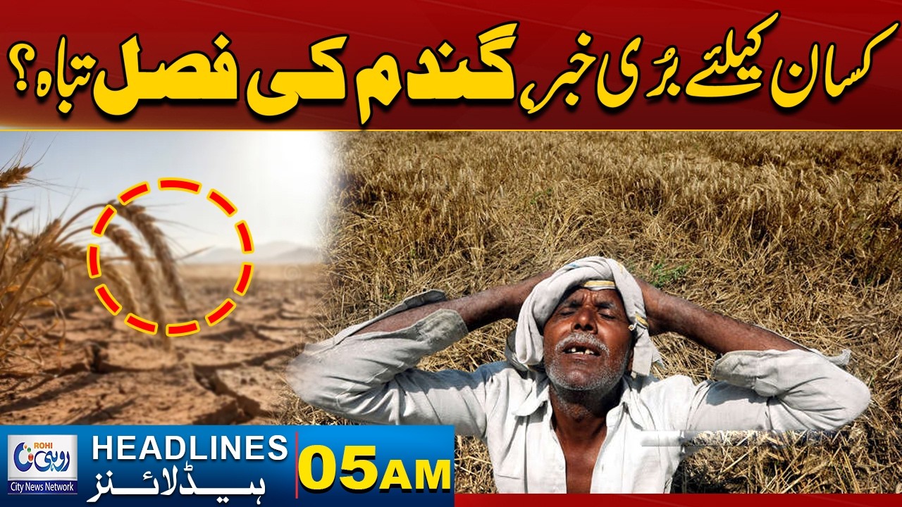 Big News For Farmers: Wheat Crop Destroyed? l 05AM News Headlines l 09 MArch 2026 l Rohi