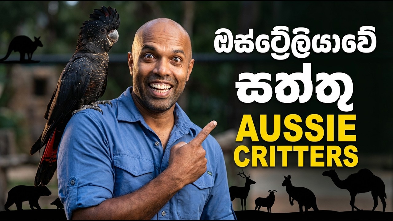 ඕස්ට්‍රේලියාවේ සත්ව උද්‍යාන | Zoos in Australia | Dr Ru Somaweera 