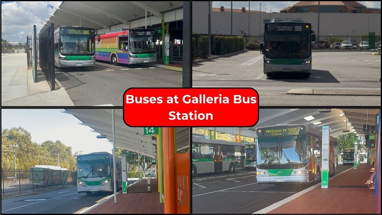 Buses at Galleria Bus Station ORIGINAL VIDEO