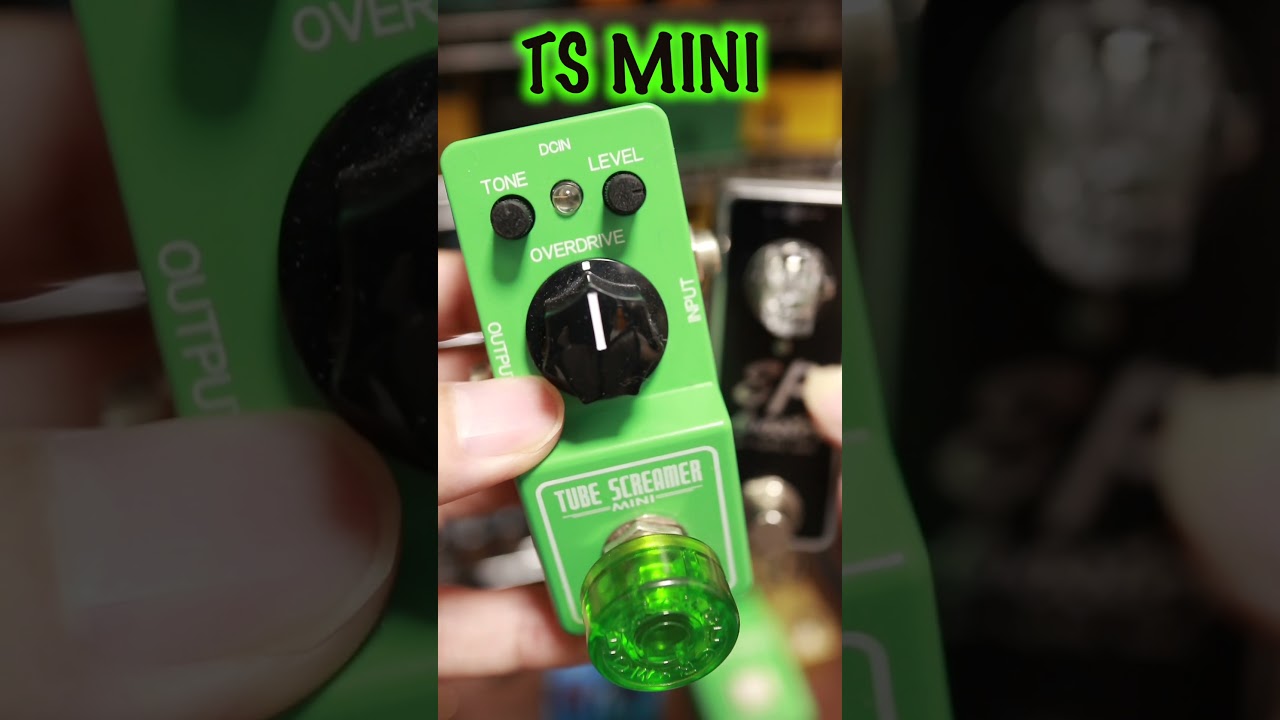 TS MINIとEP boosterの違い🎸#tsmini #ibanez #epbooster #guitarpedals #seabird #stratocaster #チバカン楽器