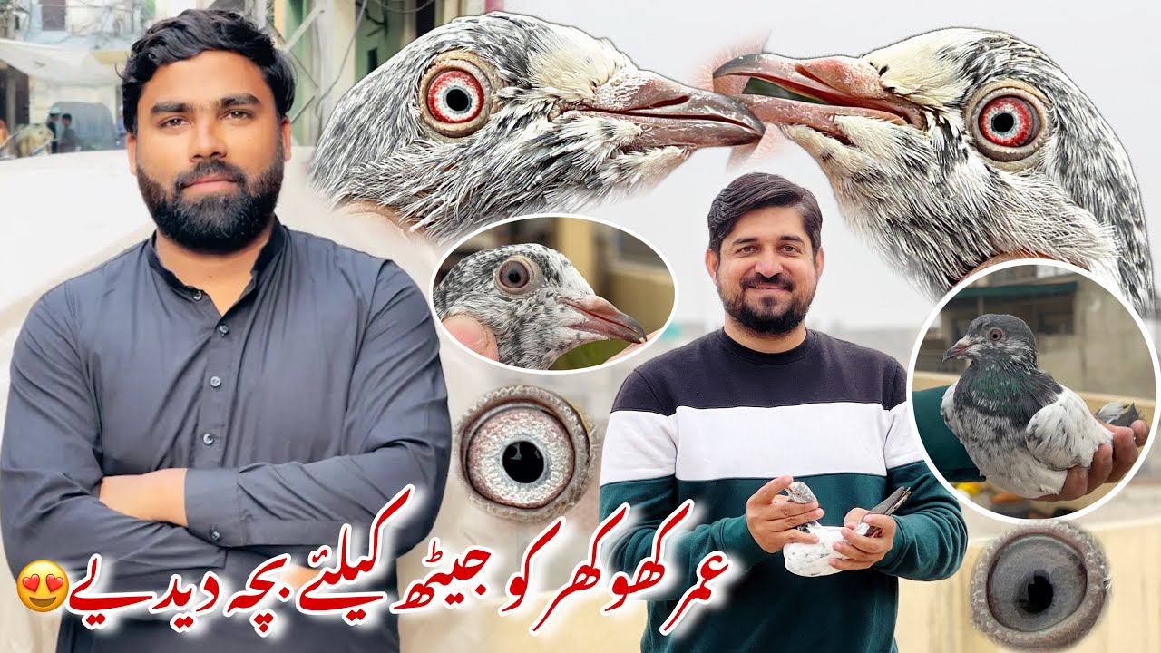 Umar khokhar bhai ko bachy jaith k liye diye 😍