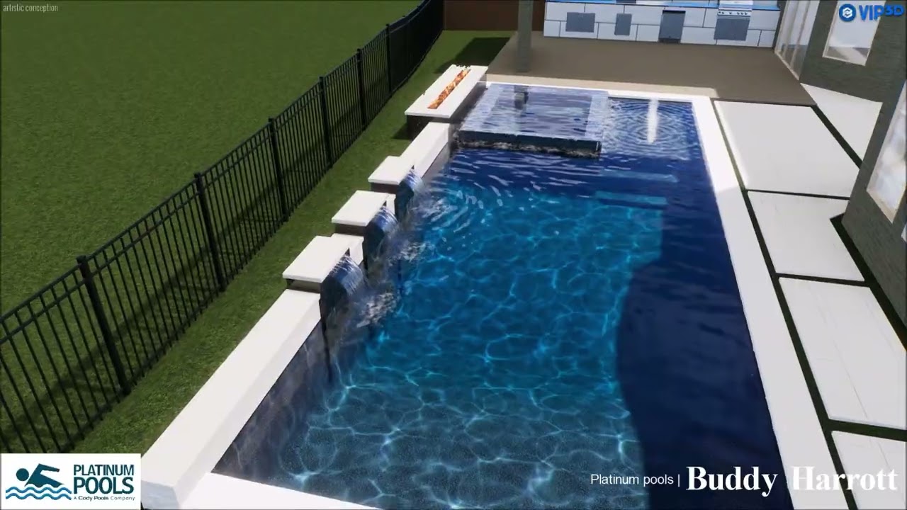 Platinum Pools - Rajgarhia Raised Back Wall Pool Design by Buddy Harrott