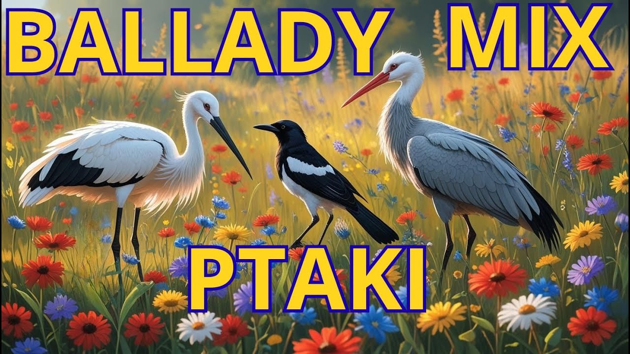 🎶 Ballady Skrzydlatych Dusz MIX💖 Ptasi Odlot🕊️ Bocian, Słowik, Żuraw i Inni 🌬️Mikronek Art zaprasza