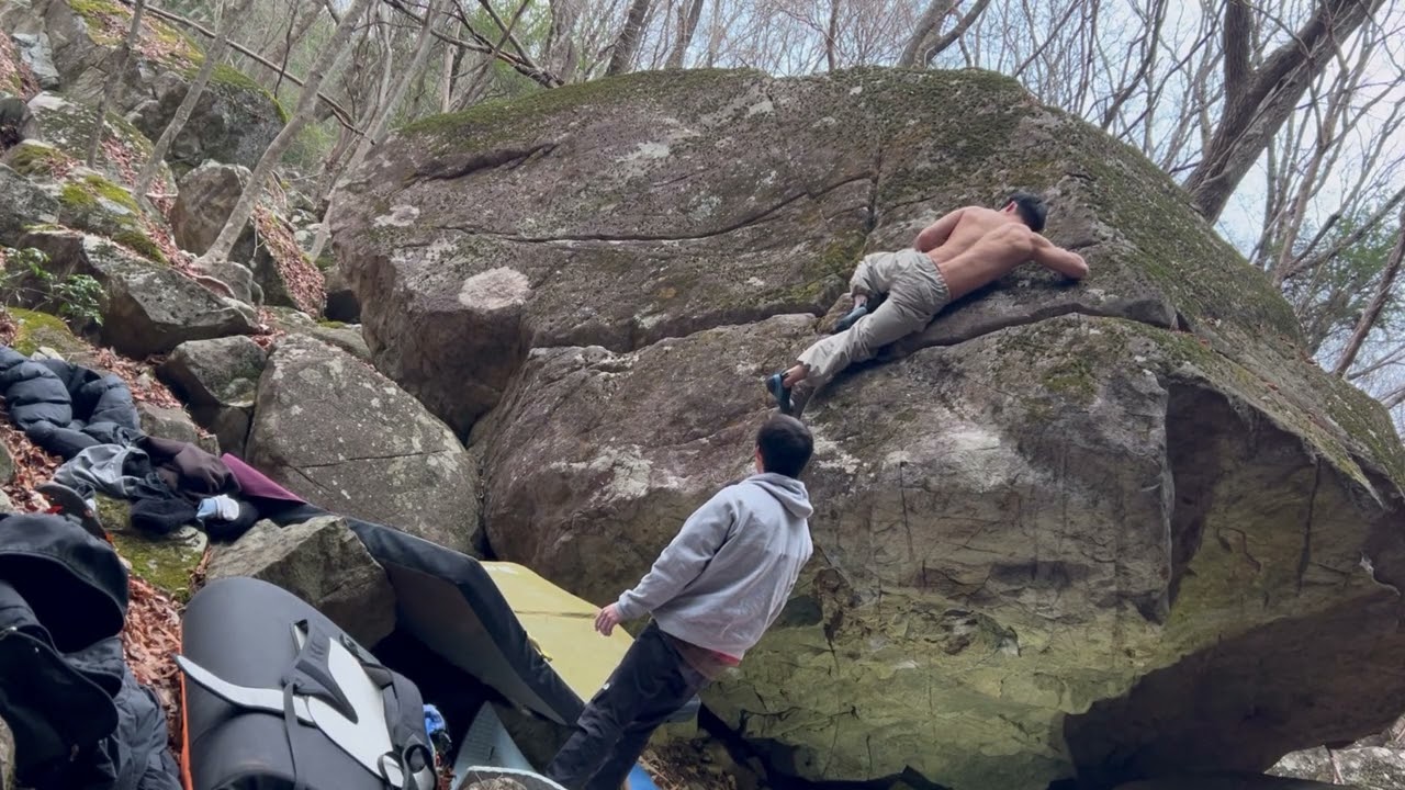 恵那 初段 紫陽花