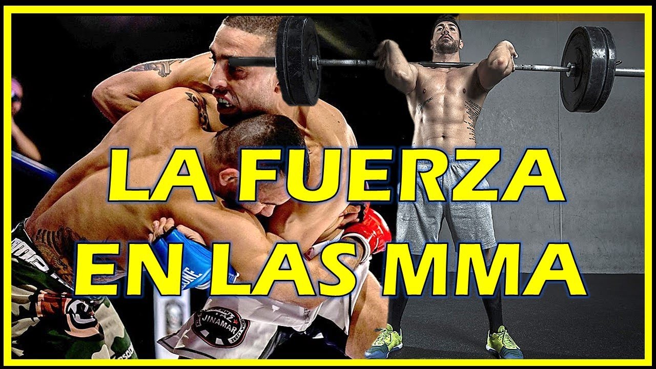 ENTRENAMIENTO ARTES MARCIALES MIXTAS (La importancia de la fuerza)