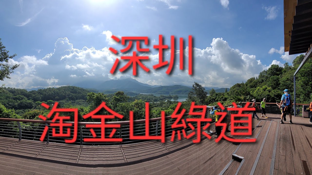 深圳  淘金山綠道  大望橋