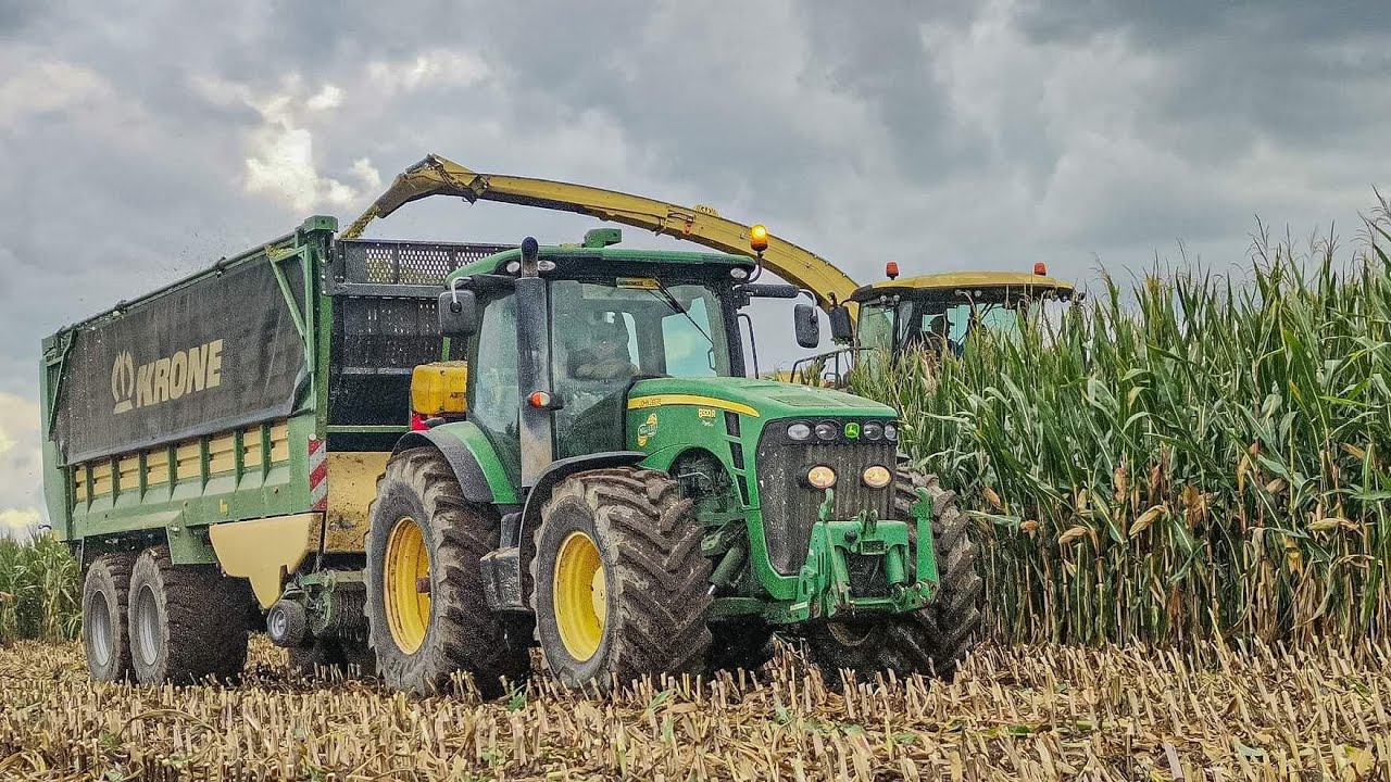 Kukurydza 2022 na kiszonkę z mega ekipą 🌽 Agromix Rojęczyn ✔️Gh Kossowski