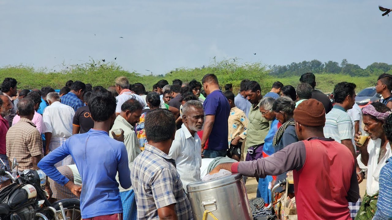 தூத்துக்குடி harbour பீச் மீன் ஏலம் கூடம் Thoothukudi harbor beach fish auction hall