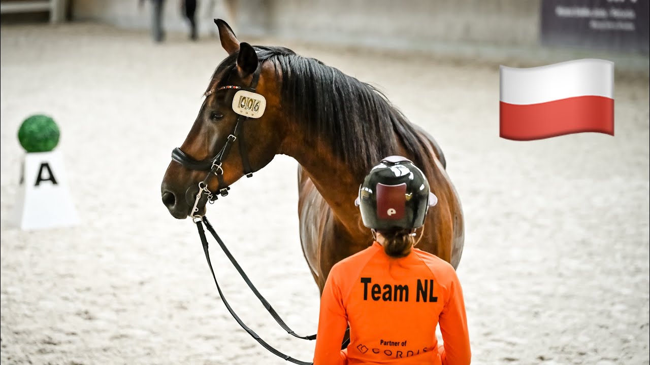 DEEL 1 | WEDSTRIJD IN POLEN 🇵🇱 met mijn 2 top paarden! Kwalificatie wedstrijd Wereld Kampioenschap