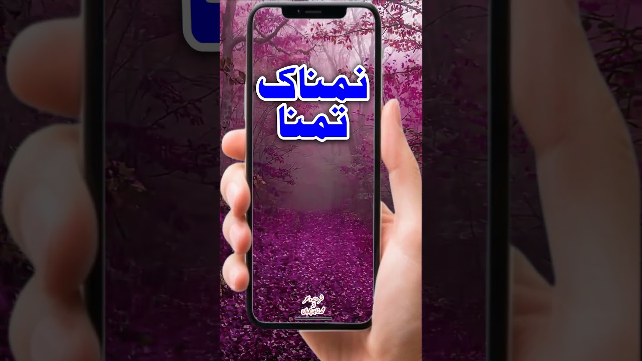 NAMNAAK TAMNA نمناک تمنا SHARMINDA E SAHER