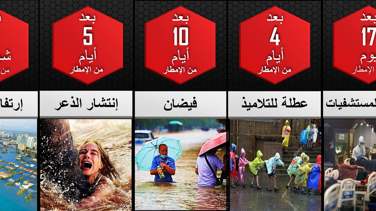 ماذا لو لم يتوقف المطر عن السقوط لمدة سنة ما الذي سيحدث لنا هل سننجو ؟