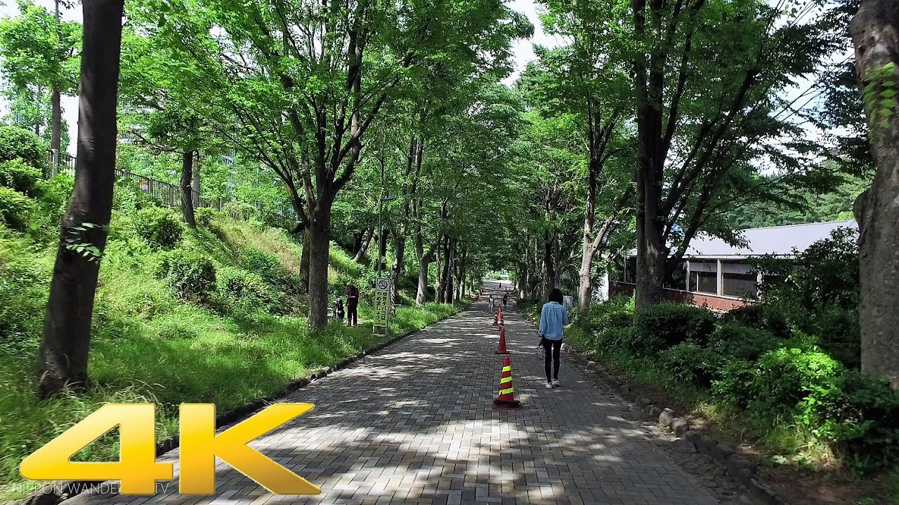 Walking around Yotsuya, Tokyo - Long Take【東京・四谷】 4K