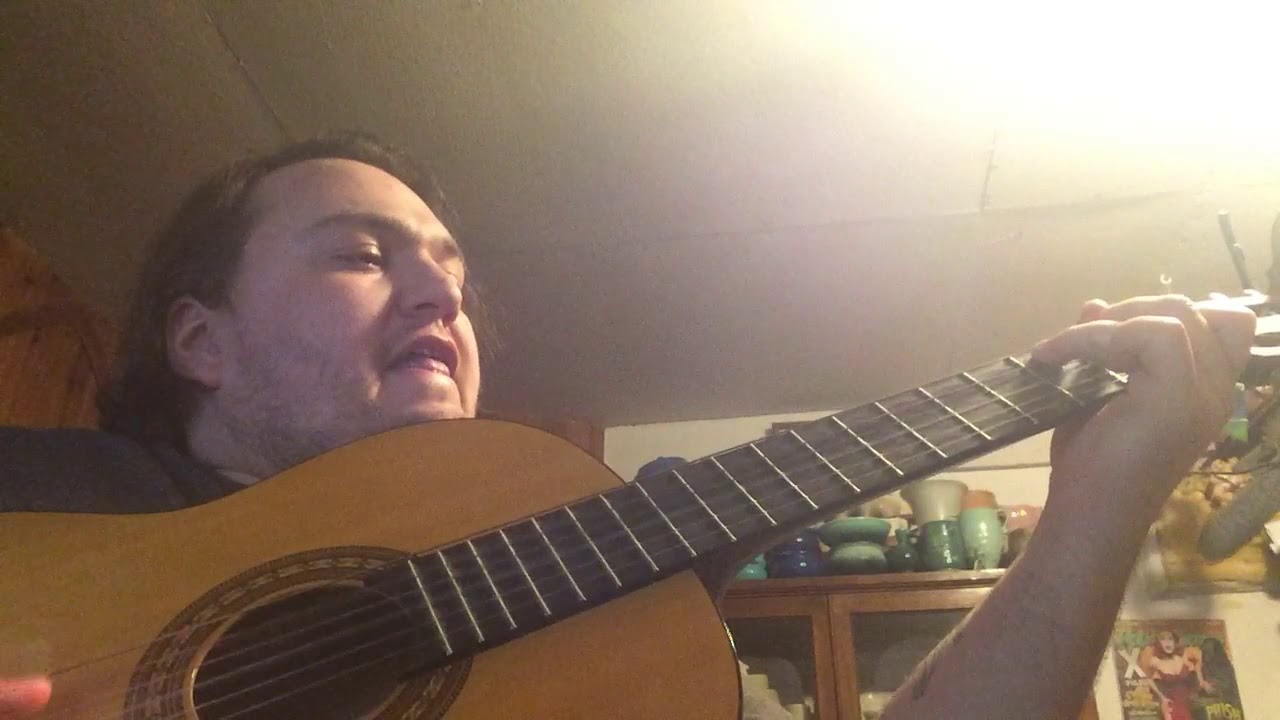 Silver Jews - The Wild Kindness (cover)
