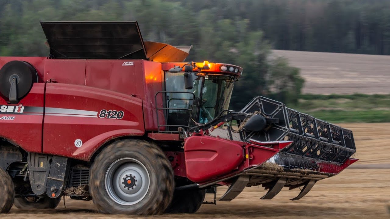 Žně 2020 | New Holland CR 10.90/CR 9080| Case axial-flow 8120