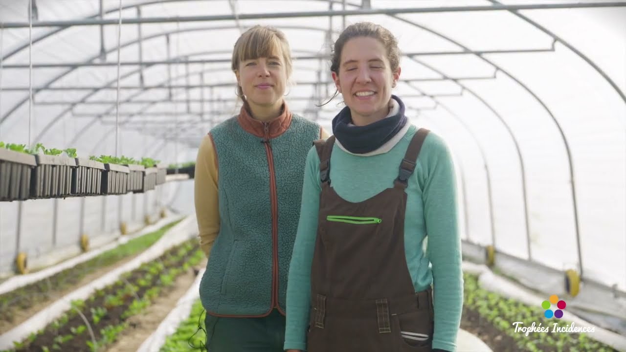 3 - Filons vert | Maraichage agroécologique sur sol vivant