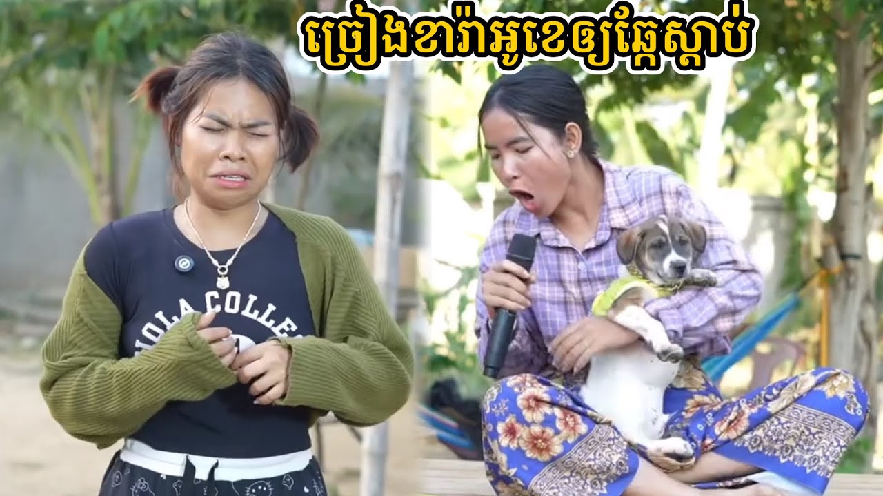 រឿង ច្រៀងខារ៉ាអូខេឲ្យឆ្កែស្ដាប់