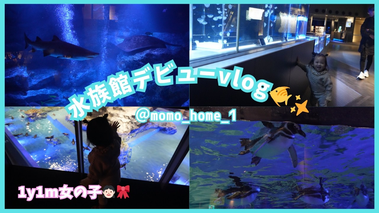 水族館デビューしたよ｜family vlog
