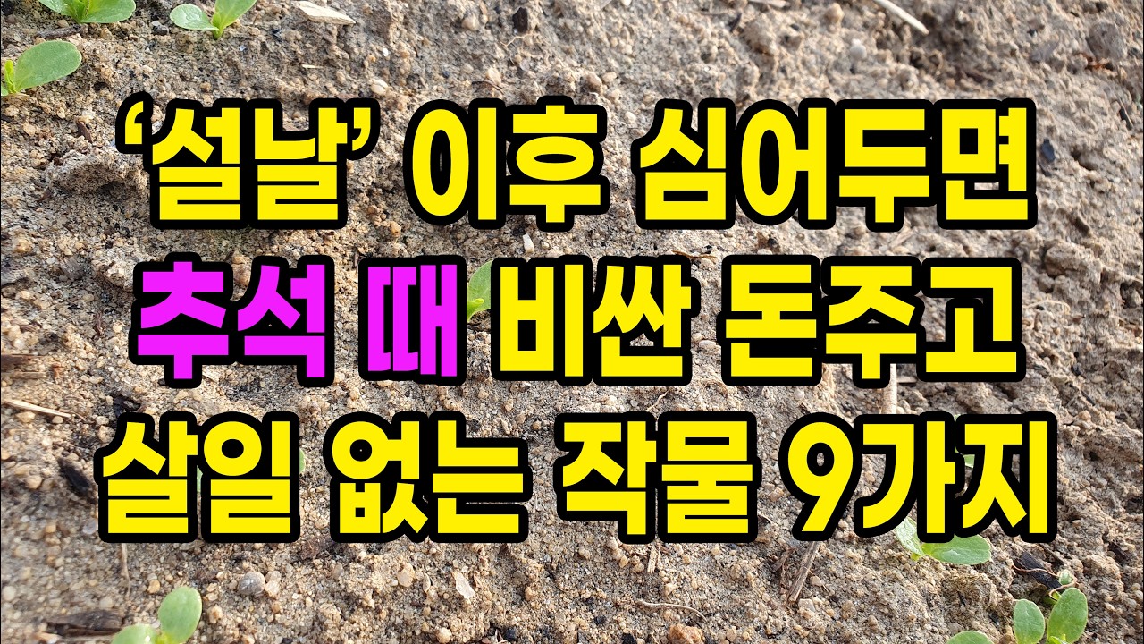 설날 이후 심어두면 추석 때 비싼 돈 주고 살일 없는 대박 작물 9가지
