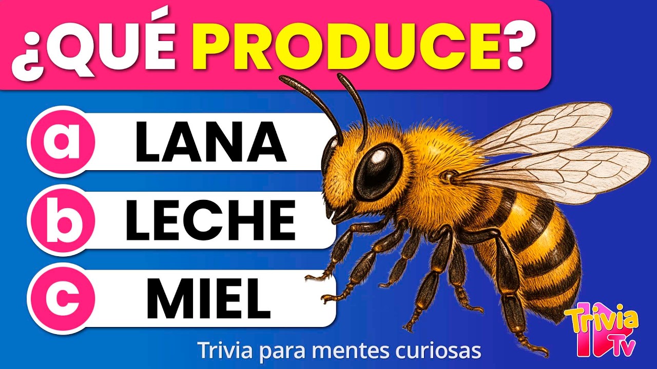 100 Preguntas Básicas de Cultura General — Trivia para Todos