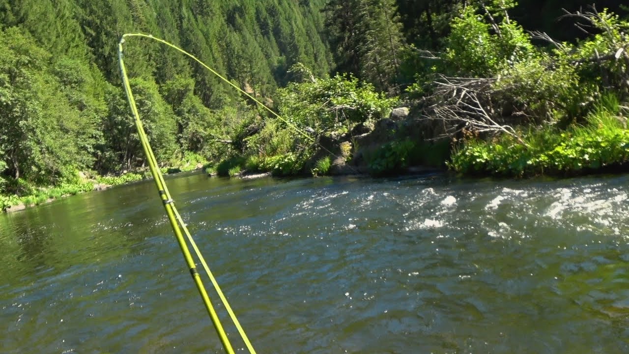 Middle Fork Feather River Fishing - 6/23/18