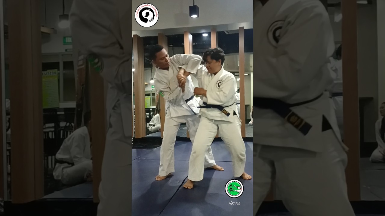 合気道 | Institut Aikido Indonesia | The Energy Dojo