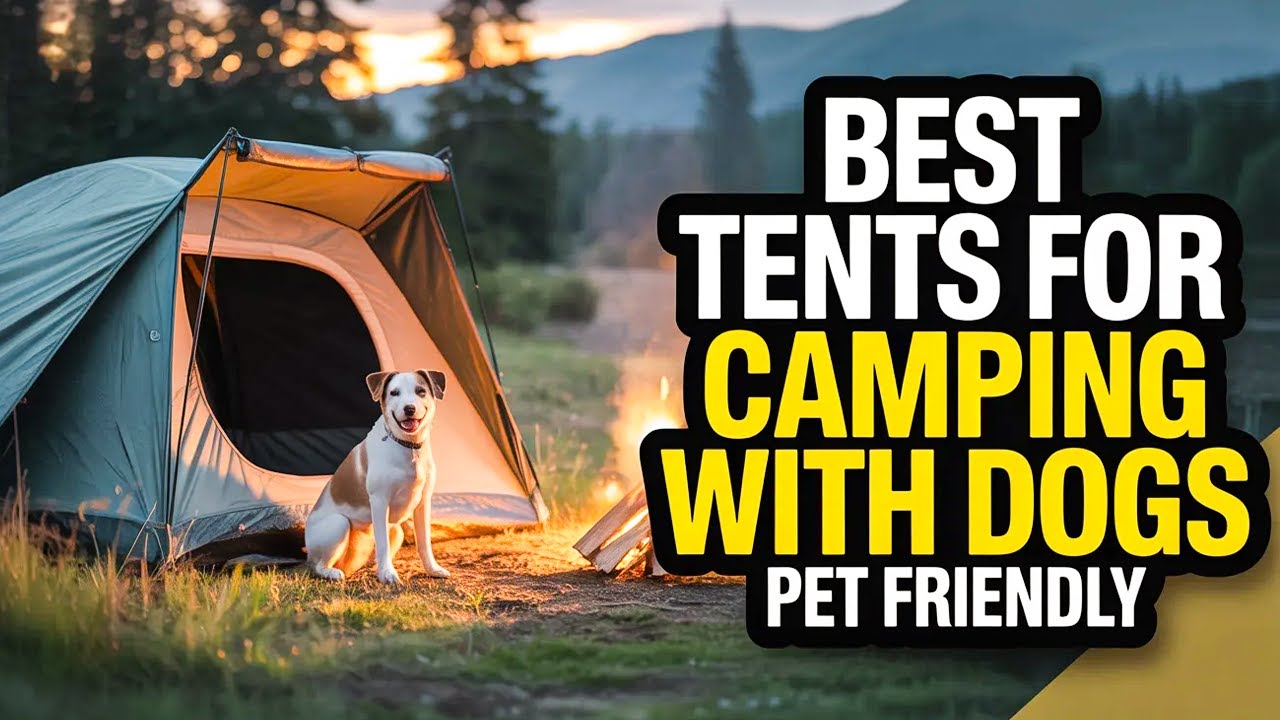 Top 6 Best Tents for Camping with Dogs for Stress-Free Outdoor Trips🔥