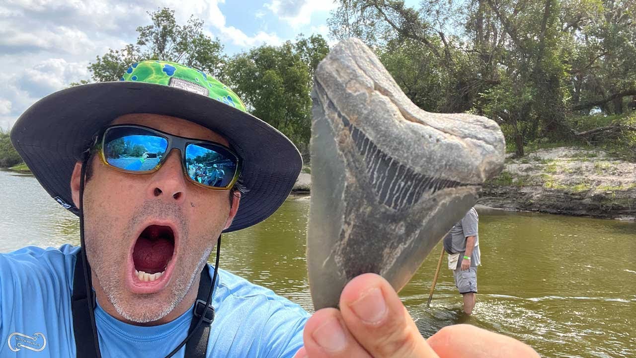 MEG TEETH!!!   FINDING THOUSANDS OF FOSSILS IN THE PEACE RIVER