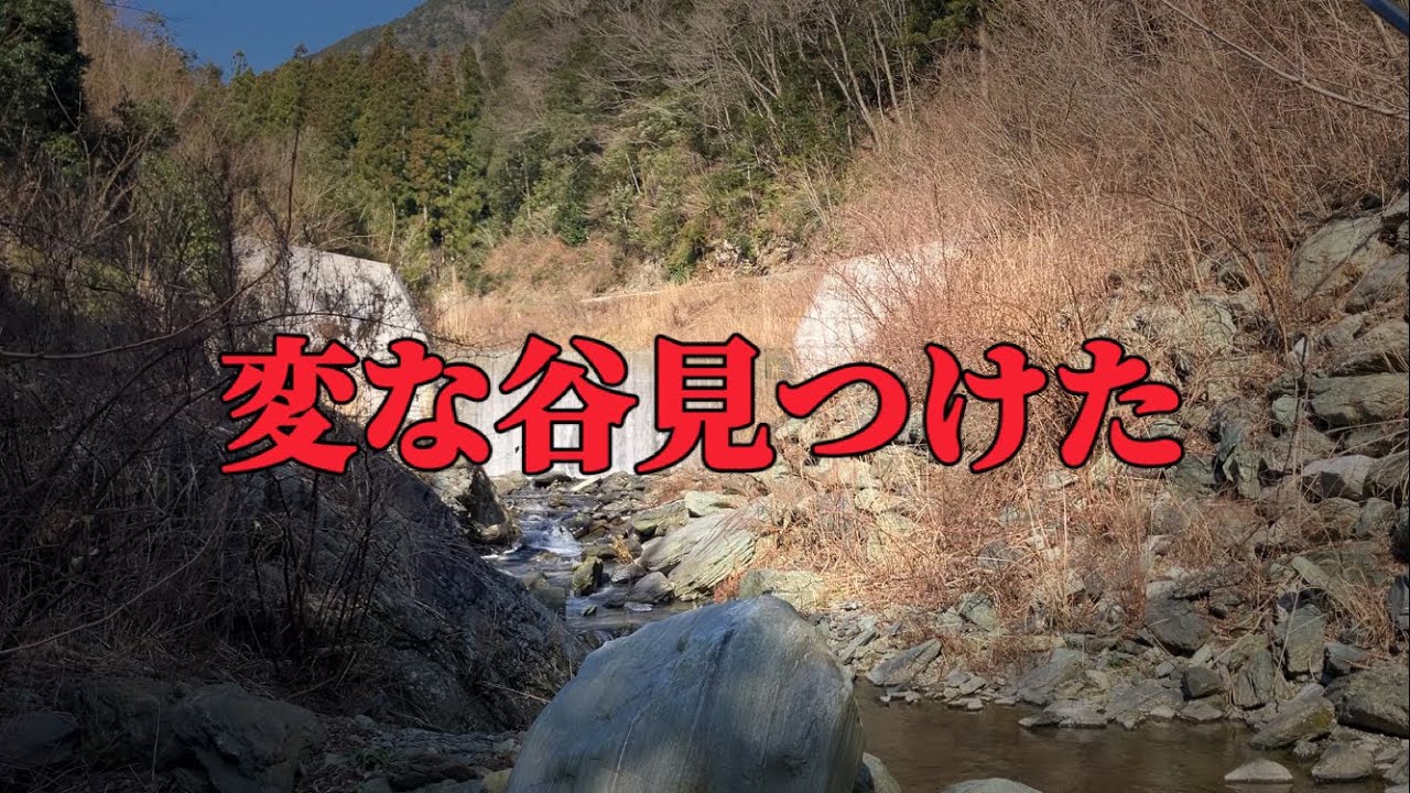 偶然見つけた小さな谷へ初入渓【渓流アマゴの提灯釣り】