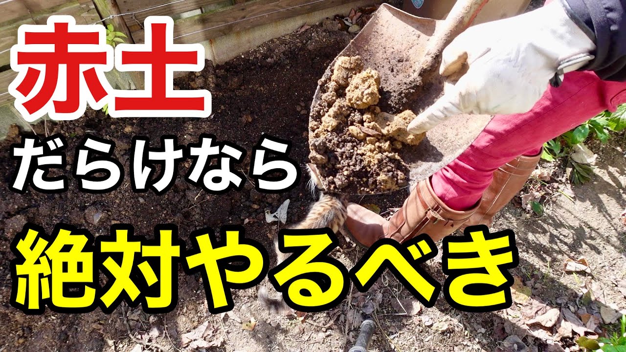 赤土が出てくる場所の土壌改良はパワープレイ　　【園芸超人カーメン君】