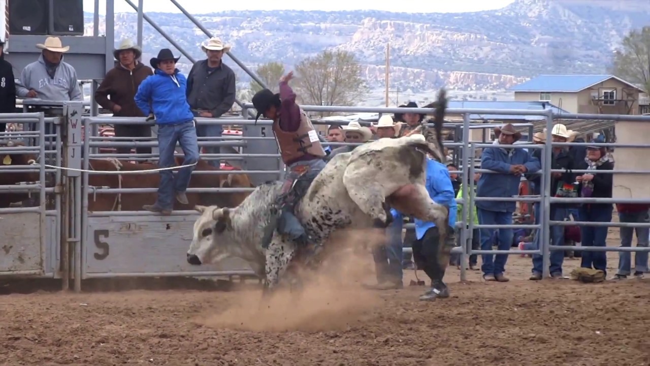 Triple Threat Bull Riding