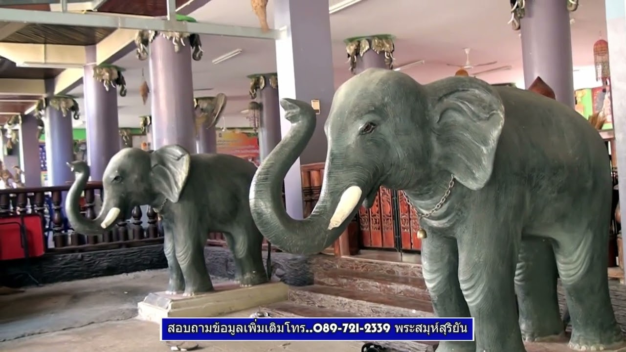 วัดจังกระดาน  จ ศรีสะเกษ  รายการนพเก้าสะพานบุญ  ช่องยูทูปสกลเดชวาไรตี้