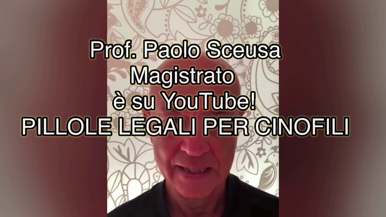 Pillole legali per cinofili: lo spot