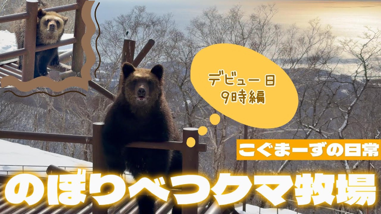 【2026/02①】こぐまーずの日常⭐︎デビュー日AM9時編