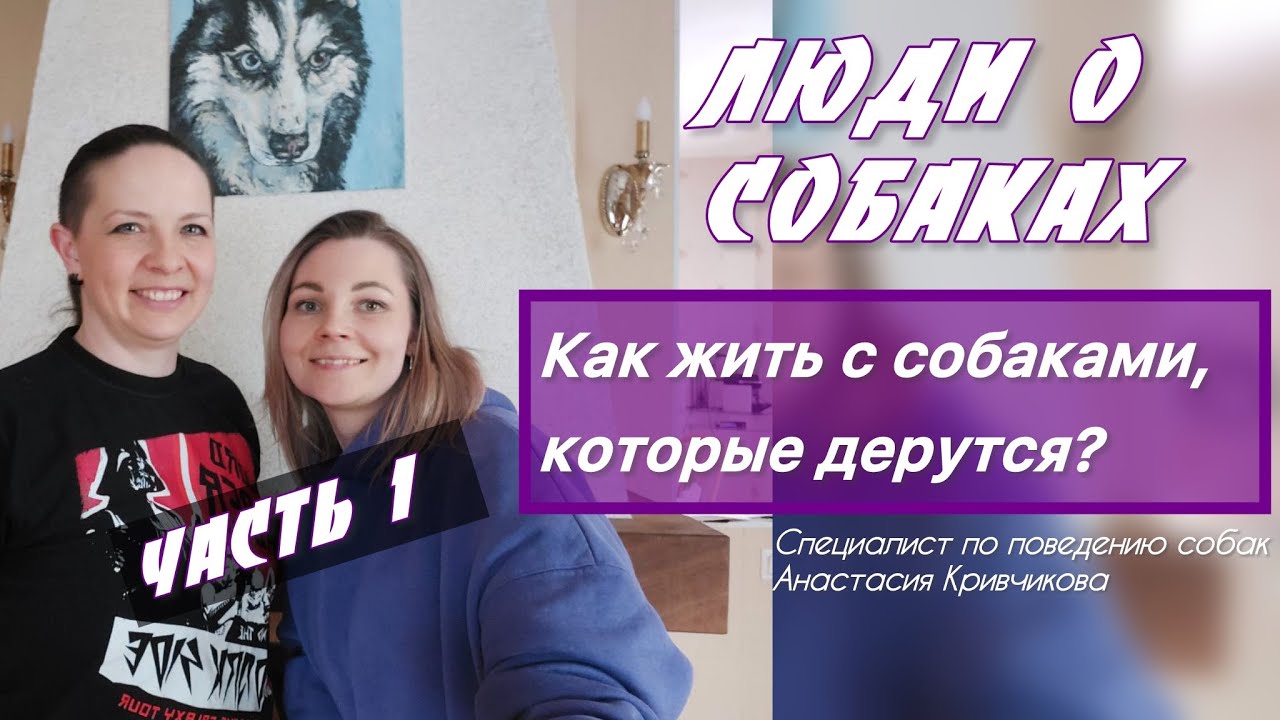 Собаки дерутся, что делать? | 1 часть интервью со специалистом по поведению собак