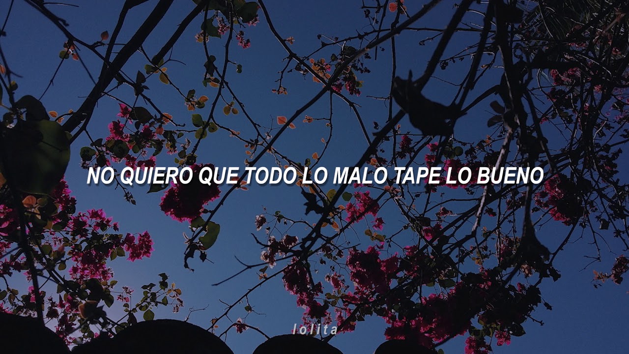 Indios - Todas las flores de enero (LETRA)