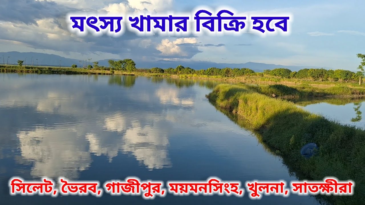 Fish farming sale, মৎস্য খামার বিক্রয়। ফিশারী বিক্রি হবে।  land sale for fish farming 