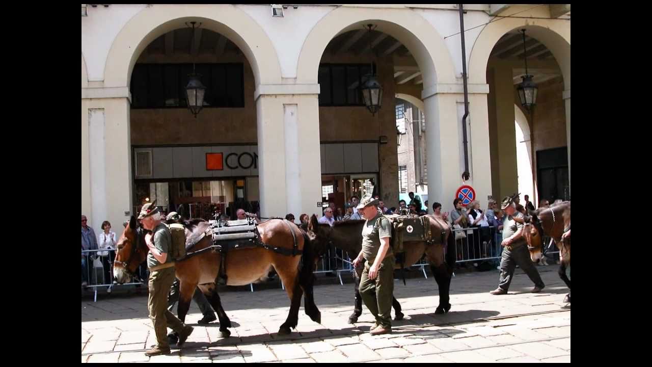 84^ Adunata nazionale degli Alpini, Torino, 7-8 maggio 2011