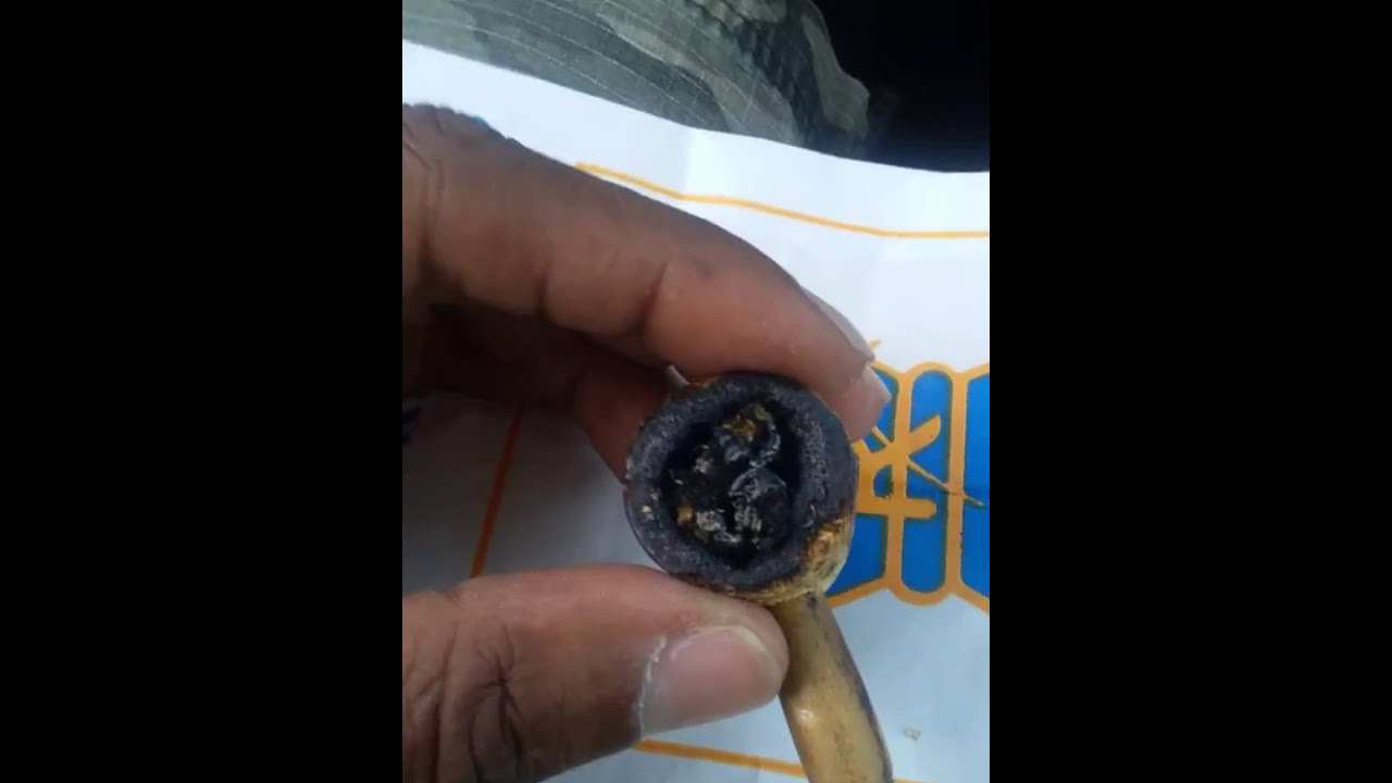 Canna lope Kush & Pure OG Smoke test