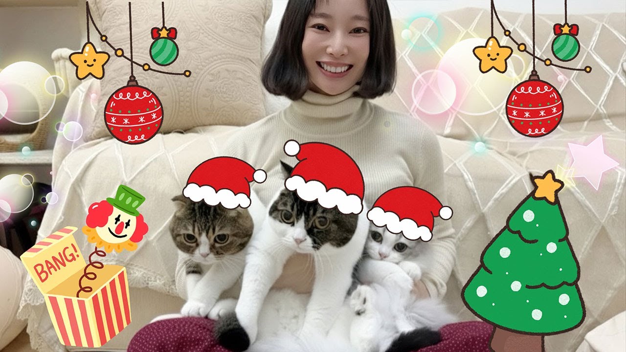 猫たちとクリスマスを過ごしてみたら大喜びで最高でした！