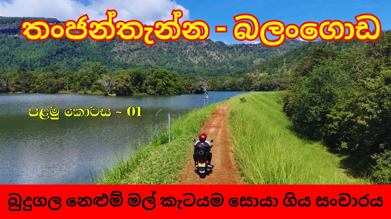 තංජන්තැන්න - බලංගොඩ බුදුගල නෙළුම් මල් කැටයම සොයා ගිය සංචාරය Budugala raja maha viharaya පළමු කොටස 01
