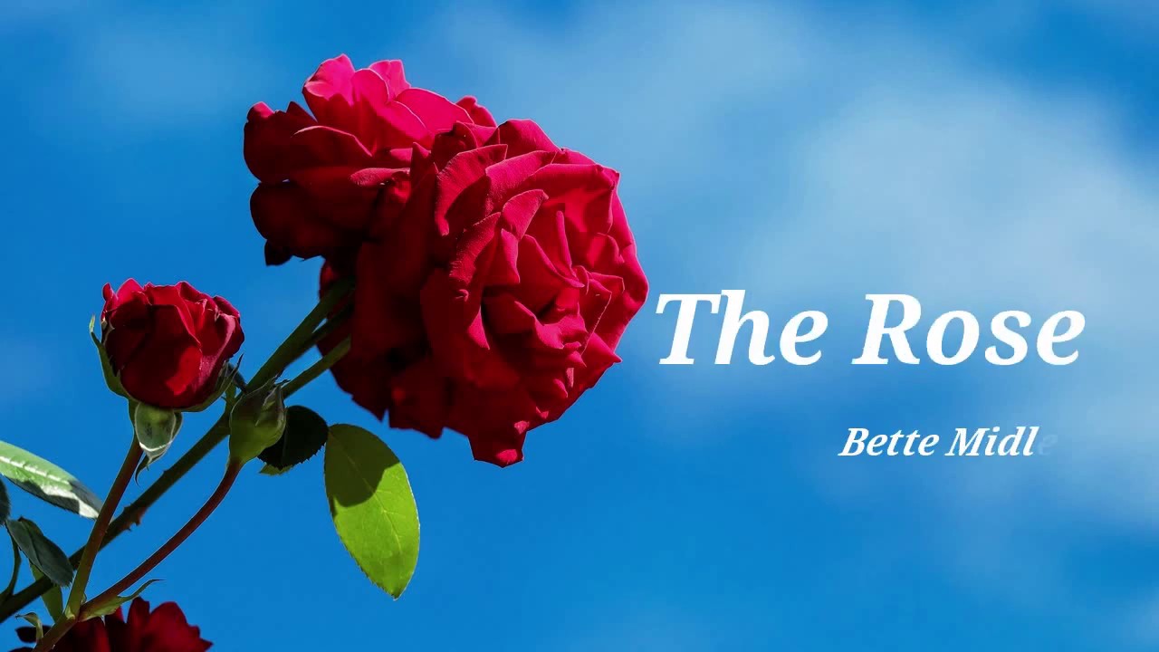The Rose - Bette Midler（日本語歌詞字幕） English & Japanese Lyrics
