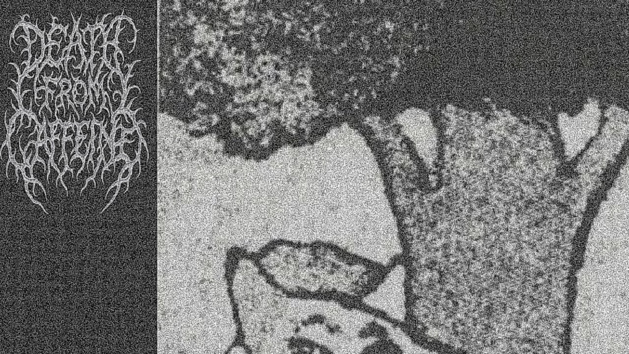 death from caffeine — 5 dreams [noise]