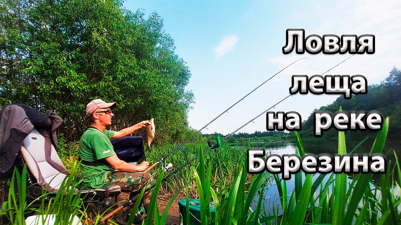 Ловля леща  на реке Березина.