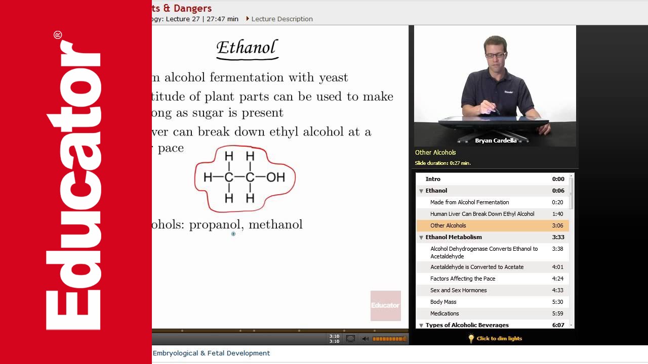 Effects of Alcohol