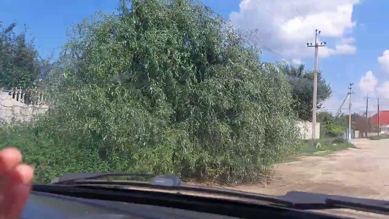 20.08.22/ Херсонская область/ Улицами Олешек/Планы изменились