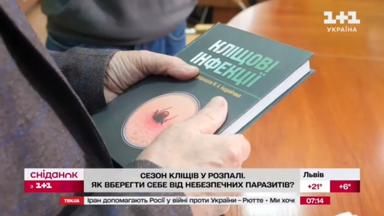 Науковці ТНМУ у "Сніданку з 1+1" про небезпеки укусів кліщів