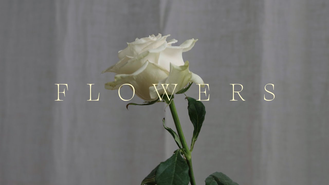 Flowers - Jonathan Ogden (Lyric Video)