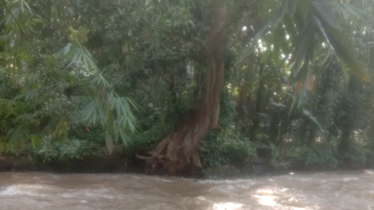 🔴 Live Cek Lokasi Di Pesisir Sungai Angker