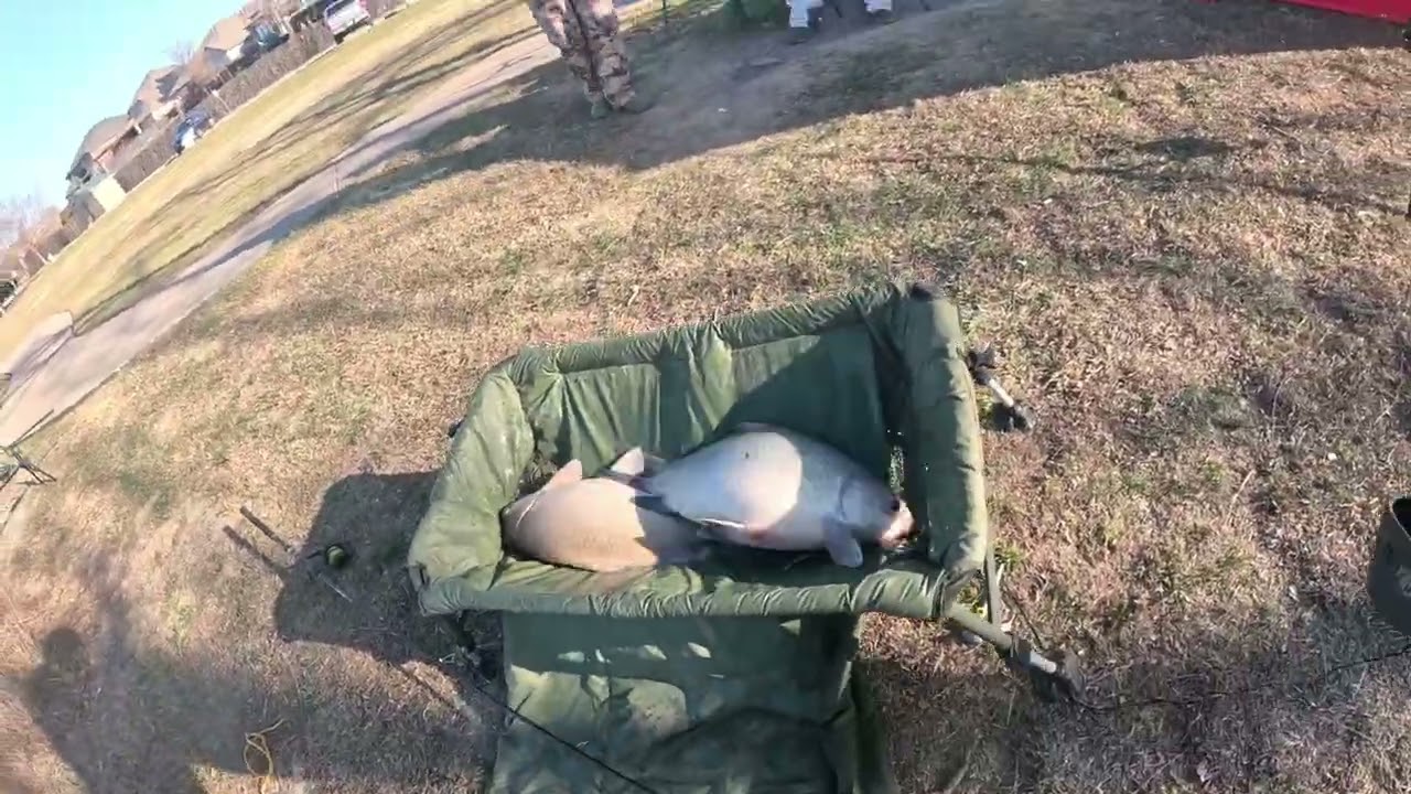 Cold Front Buffalo Fishing — Sunrise to Sunset  Euro‑Style Tactics + Surprise Catch